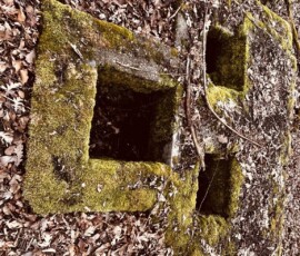 Fotografia starých kamenných okien v lese, pokrytých machom, zachytáva historický a prírodný charakter miesta. Staré kamenné okná pokryté machom v lese, súčasť prírodného prostredia.