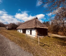 Tradičná vidiecka chalupa s trstinovou strechou na Slovensku.