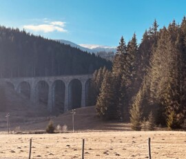 Šuhajovci na cestách: Horský vlak prechádza cez lesy a mosty v krásnej prírode, zachytávajúci dobrodružstvo a krásu slovenských hôr. Horský vlak prechádza cez lesy a mosty v prírode.