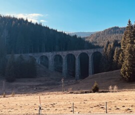 Krajina v Šuhajovcoch s mostom cez lesnú oblasť, ideálna na turistiku a objavovanie prírodných krás. Most v prírode na ceste v Šuhajovcoch, obklopený lesmi a kopcami, ideálny pre turistov a milovníkov.