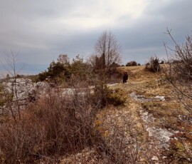 Šuhajovci na cestách v prírode, turistická trasa, jarná krajina, výlet v prírode, Slovensko.